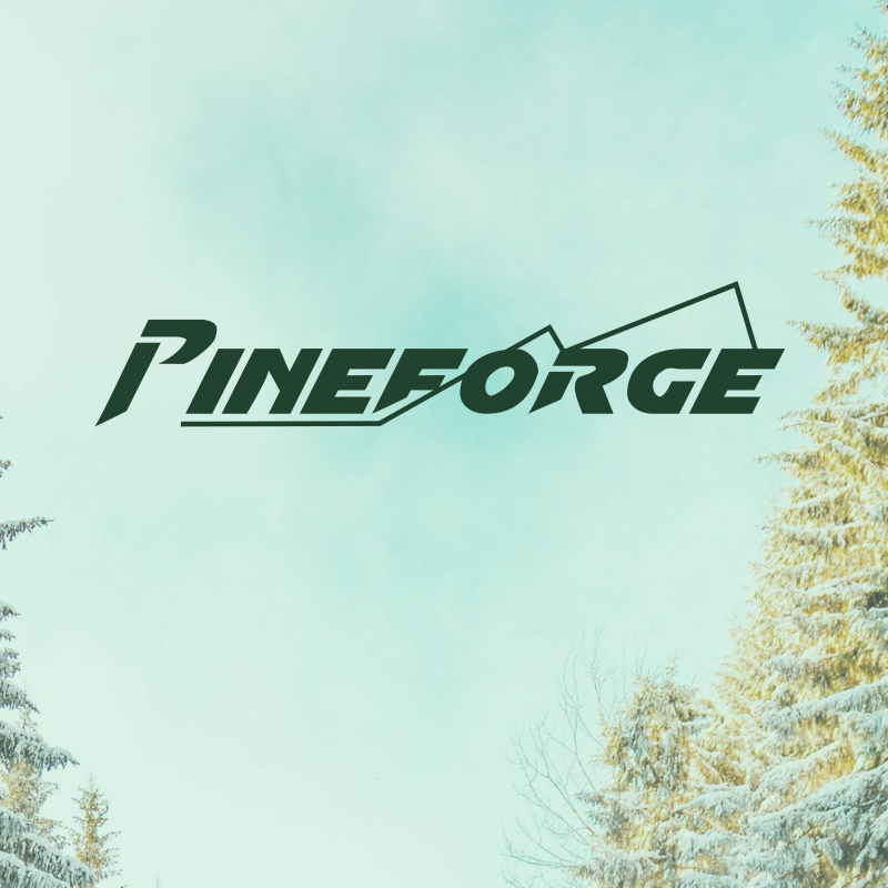 Portfolio item image